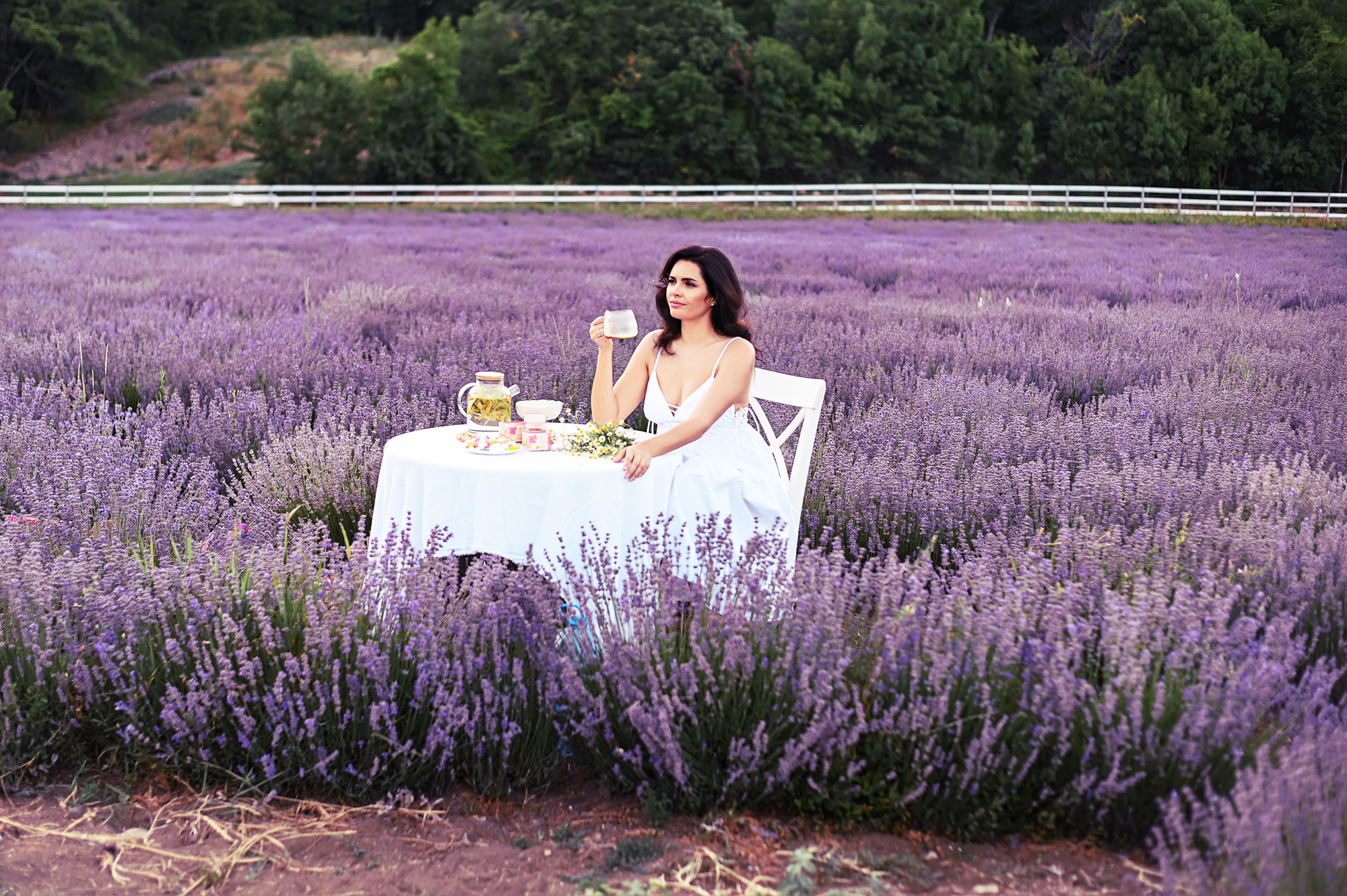 lavander field
